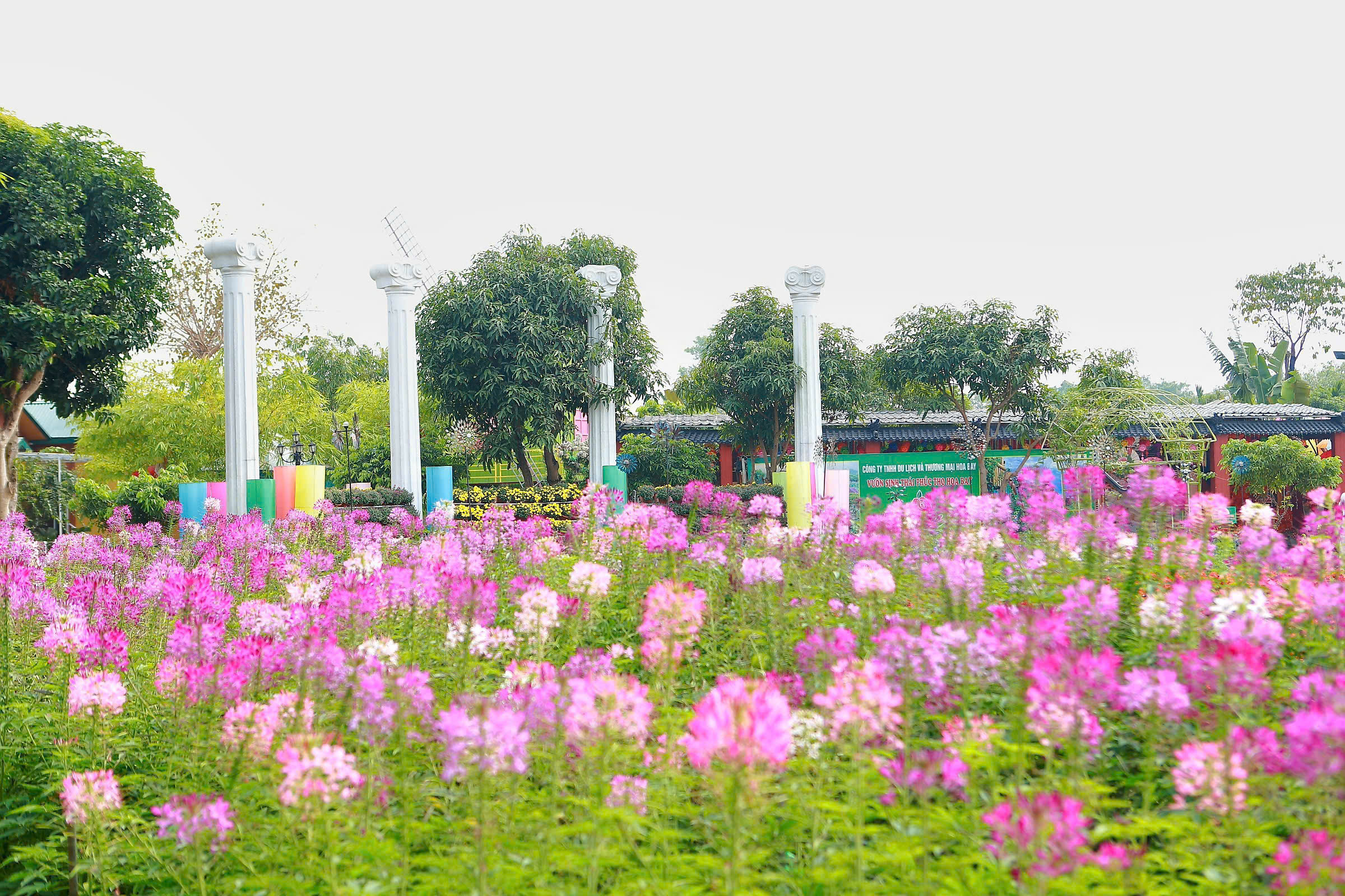 TET 2025 (50)