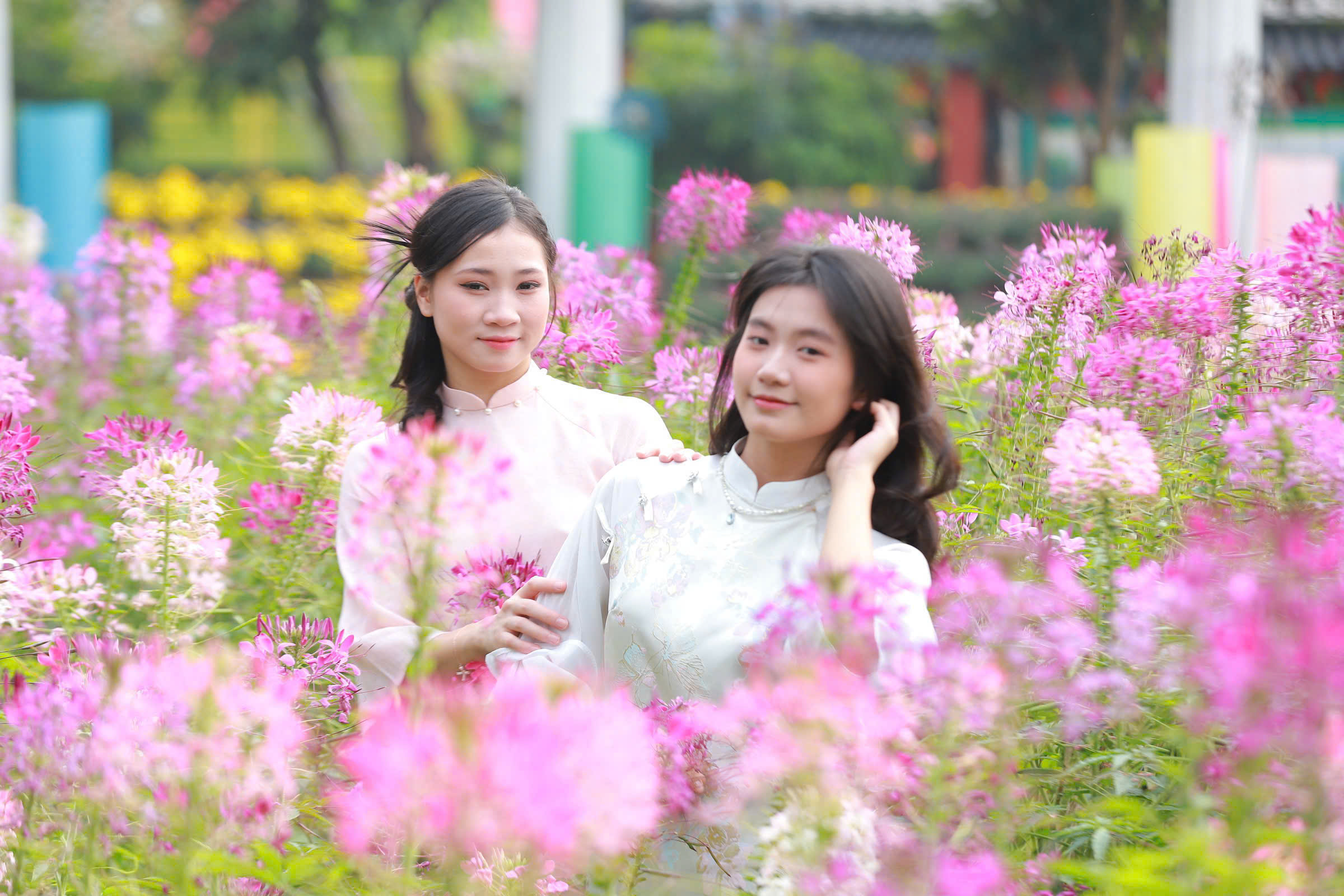 TET 2025 (54)