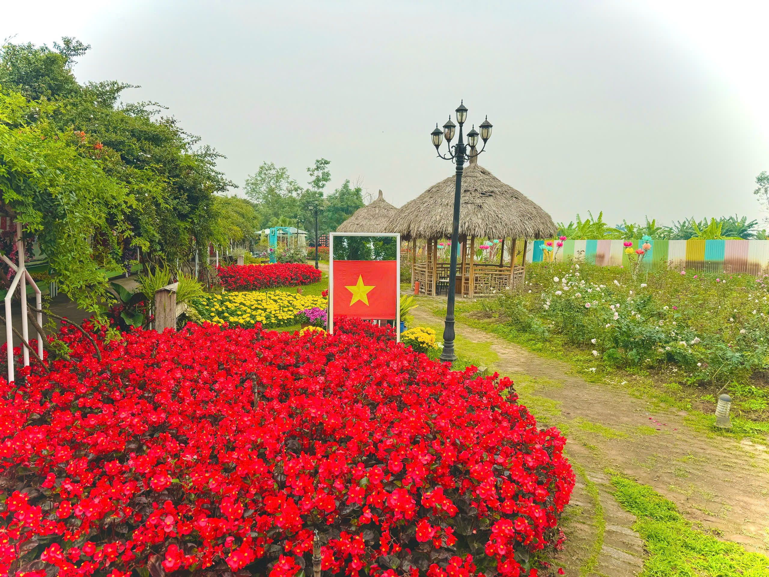 TET 2025 (75)