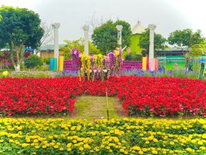 TET 2025 (80)