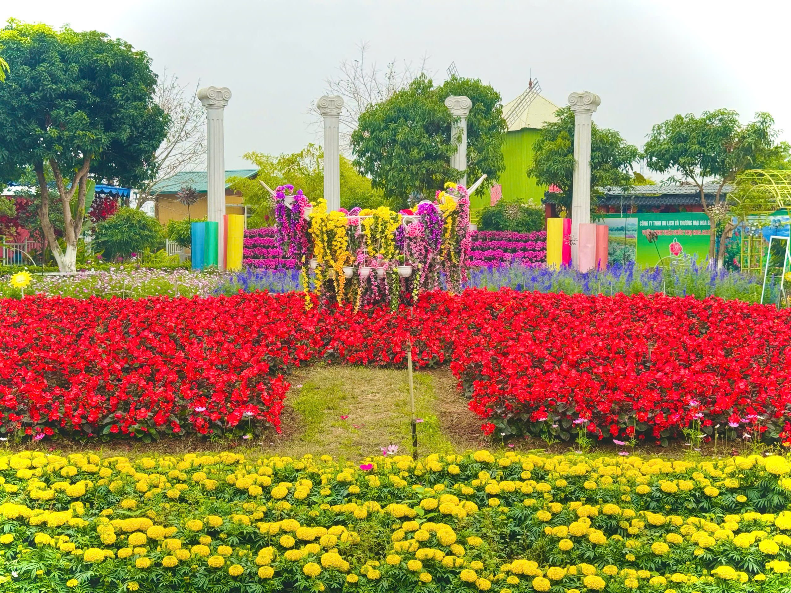 TET 2025 (80)