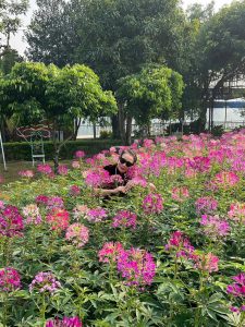 TET 2025 (83)